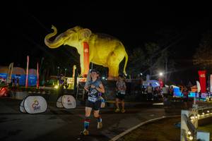 BIB: 
                            <button type="button" onclick="openModal(26552393)" class="btn btn-primary btn-sm float-right btn-popup" data-toggle="modal" data-target=".modal-high-quality">
                        <i class="fas fa-shopping-cart"></i> Add to Cart
                    </button>
                                            <button type="button" onclick="isThisMe(26552393, true)" class="btn btn-success btn-sm float-right btn-popup btn-isme hidden" data-toggle="tooltip" data-placement="bottom" title="นี่คือรูปของคุณใช่ไหม คลิกที่นี่เพื่อเอาเข้าอัลบั้ม">
                        <i class="fas fa-plus"></i> Add to album
                    </button>
                    <button type="button" onclick="isThisMe(26552393, false)" class="btn btn-warning btn-sm float-right btn-popup btn-isnotme hidden">
                        <i class="fas fa-ban"></i> Remove from album
                    </button>